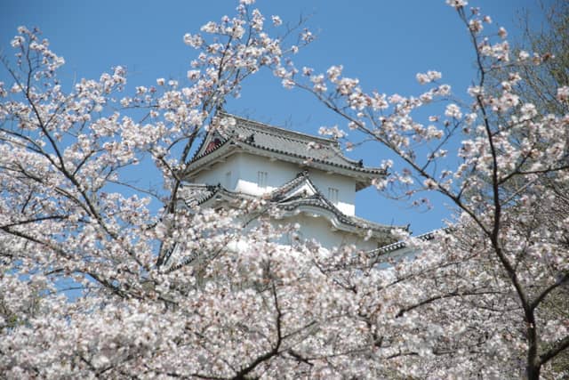 Akashi Castle Park - Image 1