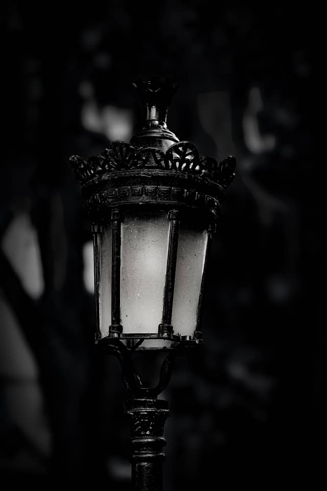 Historic Micanopy Street Lamp - Image 1