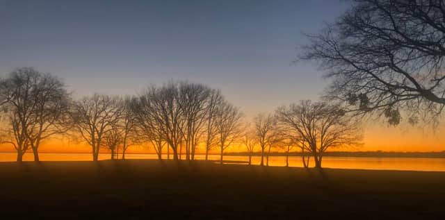 Lake Tawakoni Shoreline - Image 1