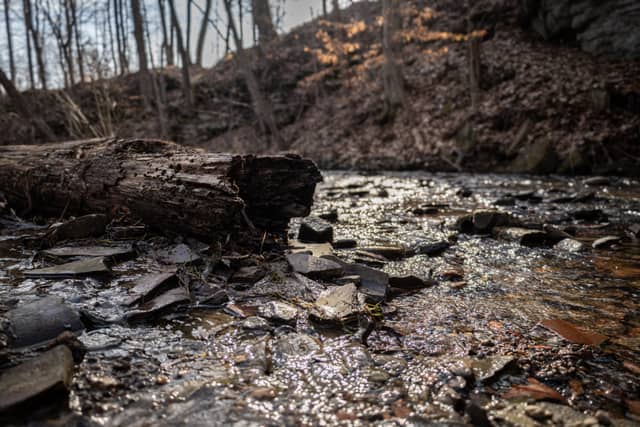 Fitzgerald Park Stream - Image 1