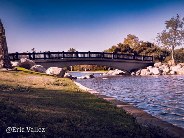 Mason Regional Park Bridge - Image 1