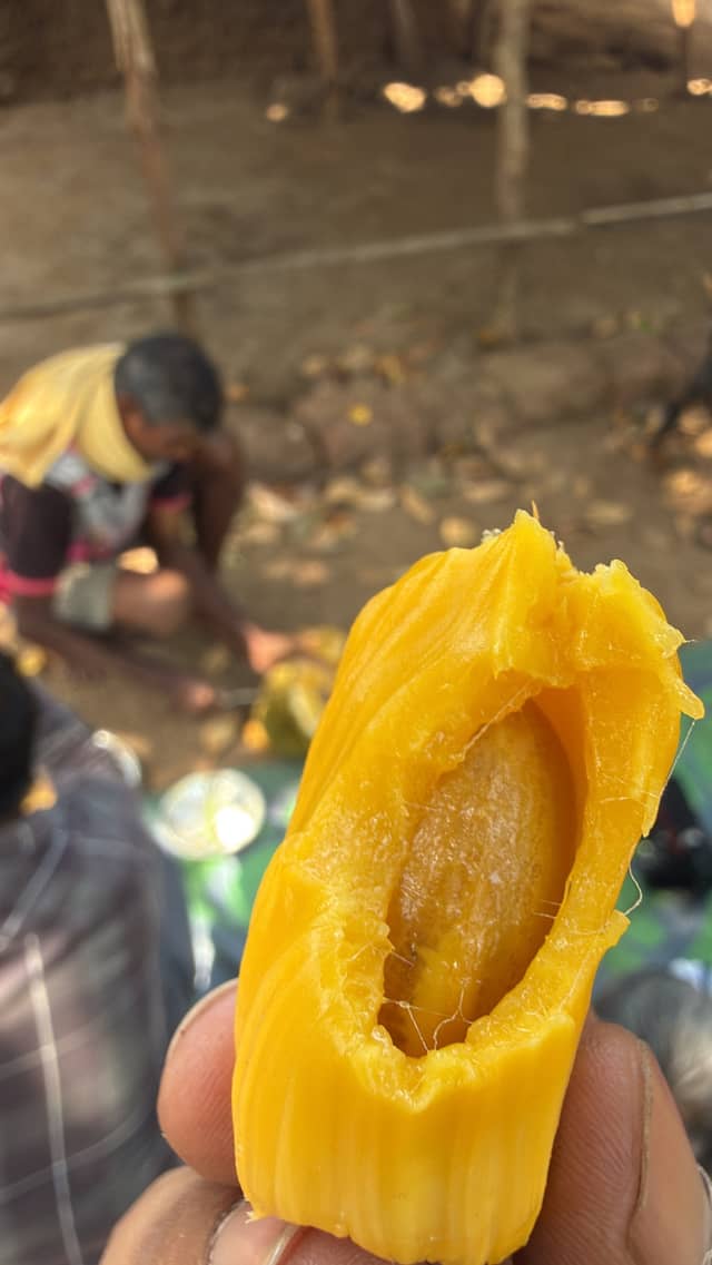 Vengurla Fruit Orchards - Image 1