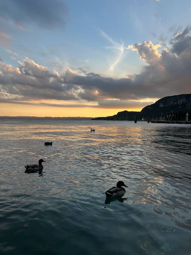 Lungolago di Garda - Image 1
