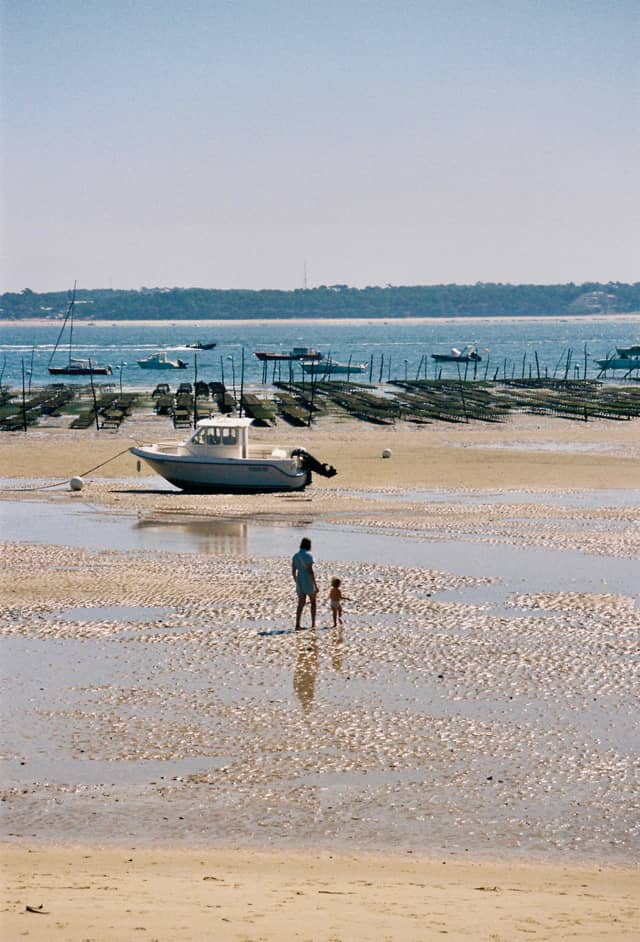 Cap Ferret Oyster Beds - Image 1