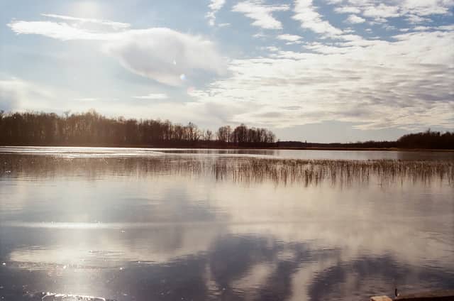 Pleasant Valley Wetlands - Image 1
