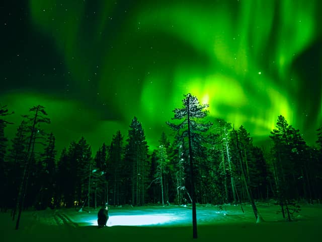 Luosto Aurora Forest - Image 1