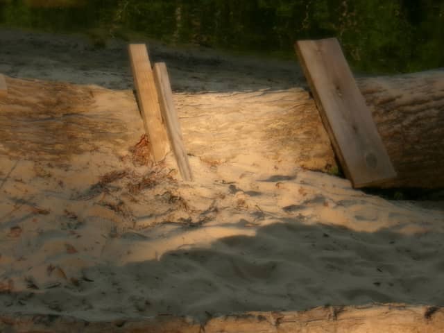 Locust Fork Riverbank - Image 1
