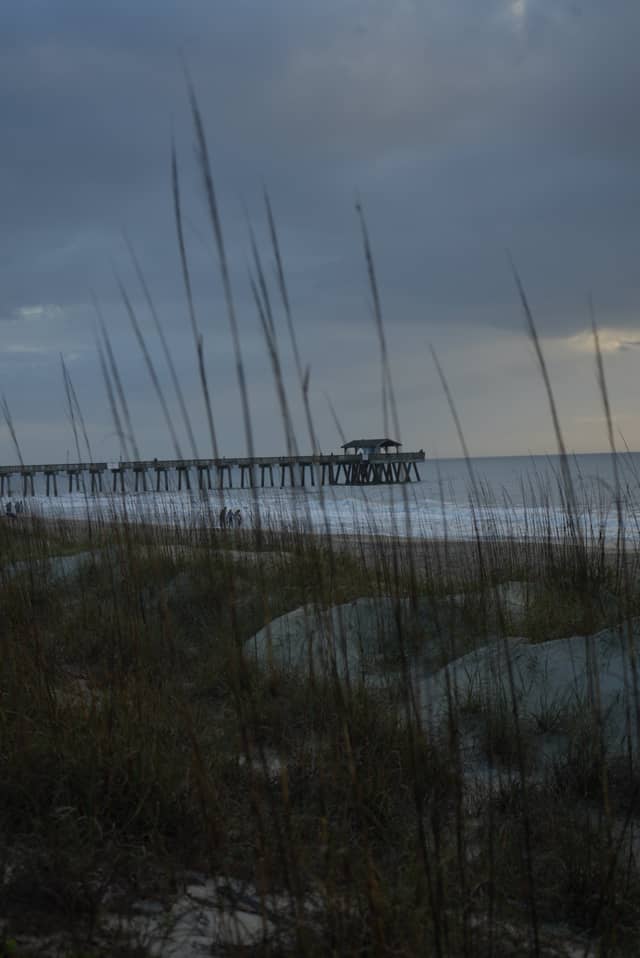 Tybee Island Pier and Pavilion - Image 1