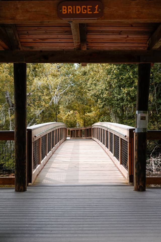 Sawgrass Lake Park Boardwalk - Image 1