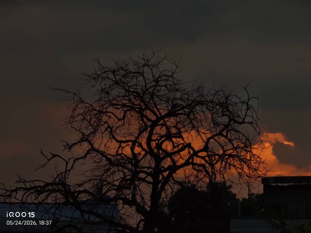 Kohir Sunset Silhouette - Image 1