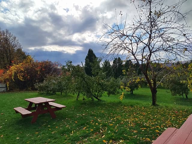 Burlington Downtown Green Space - Image 1