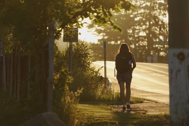 Eiden Road Golden Hour Walk - Image 1