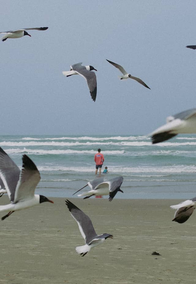 Boca Chica Beach - Image 1