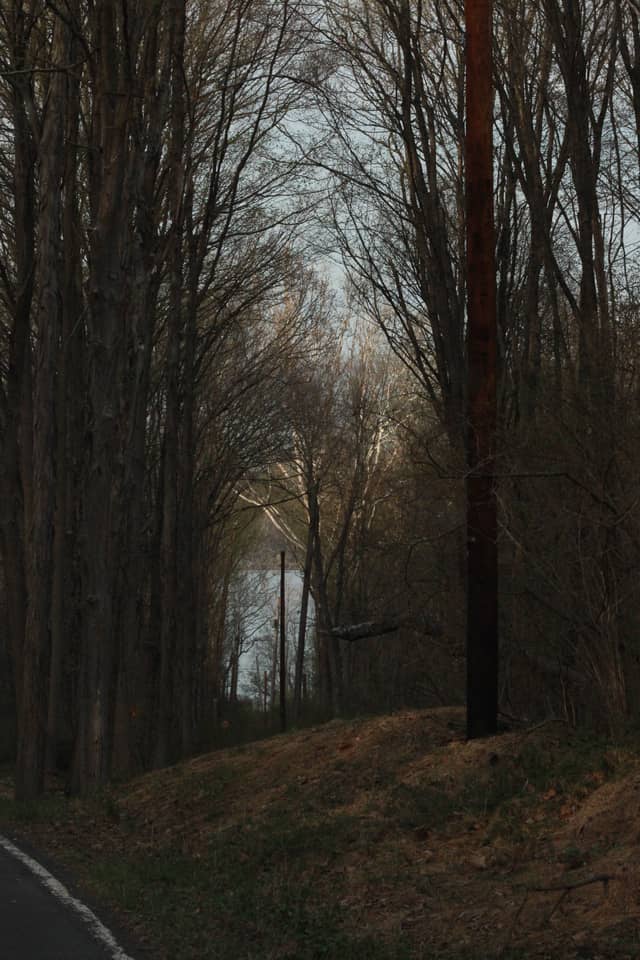 Hudson River Woodland Tunnel - Image 1