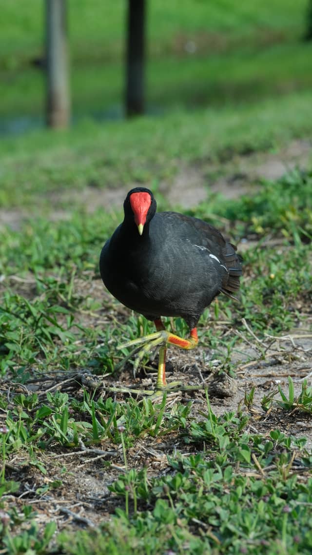 Clam Bayou Nature Area - Image 1