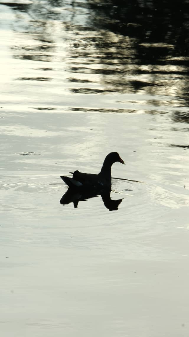 Clam Bayou Nature Park - Image 1