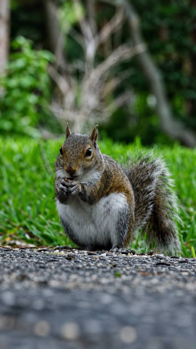 Abercrombie Park - Image 1