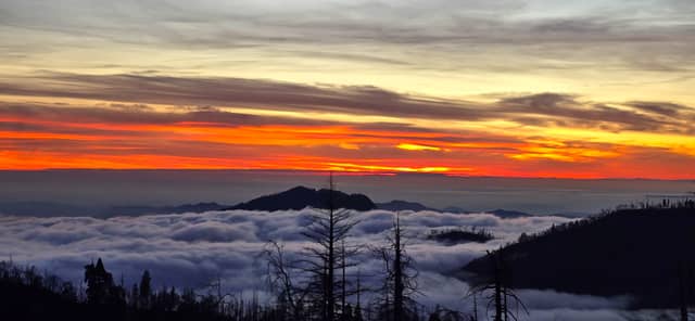 Sequoia National Park Sunset Overlook - Image 1
