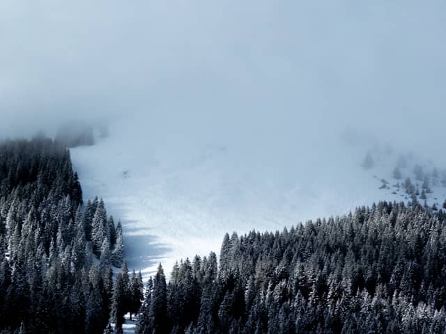 Portes du Soleil Alpine Slopes - Image 1