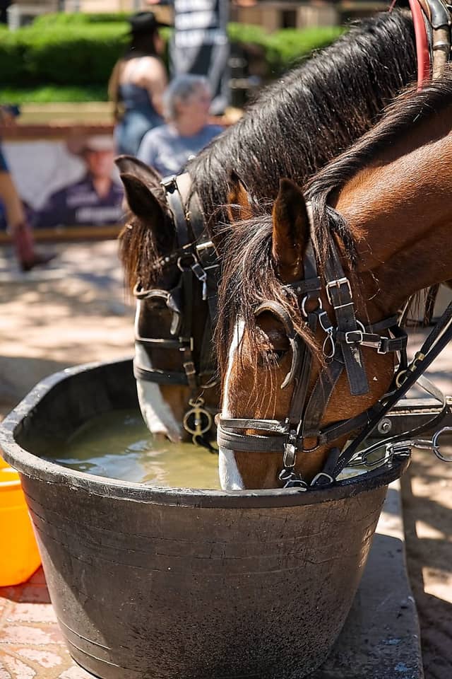 Fort Worth Stockyards - Image 1