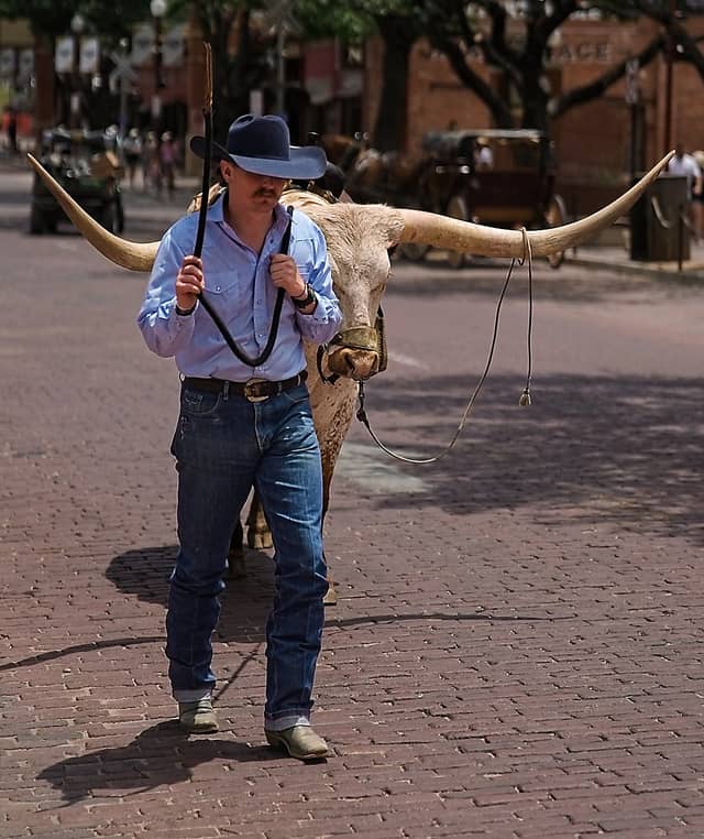 Fort Worth Stockyards - Image 1