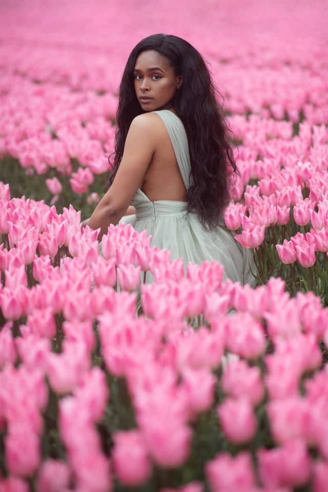 Norfolk Tulip Fields - Image 1