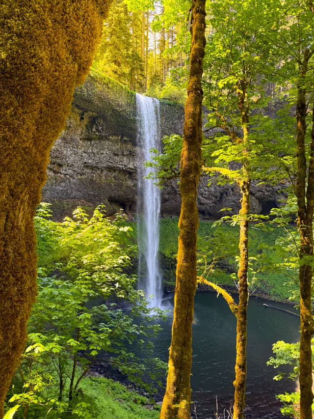 Silver Falls State Park - Image 1