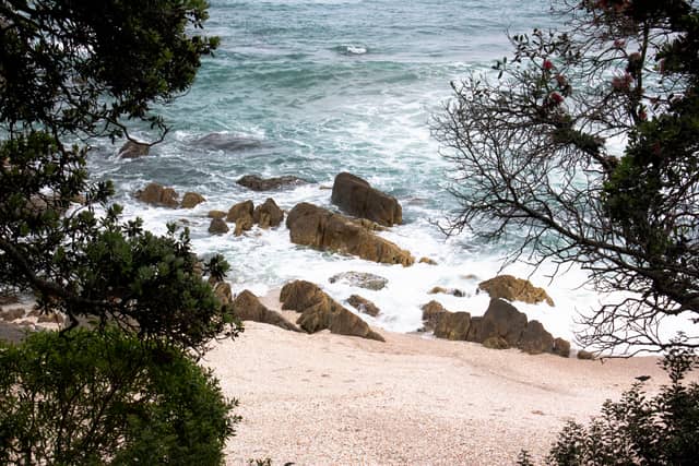 Mount Maunganui Base Track - Image 1