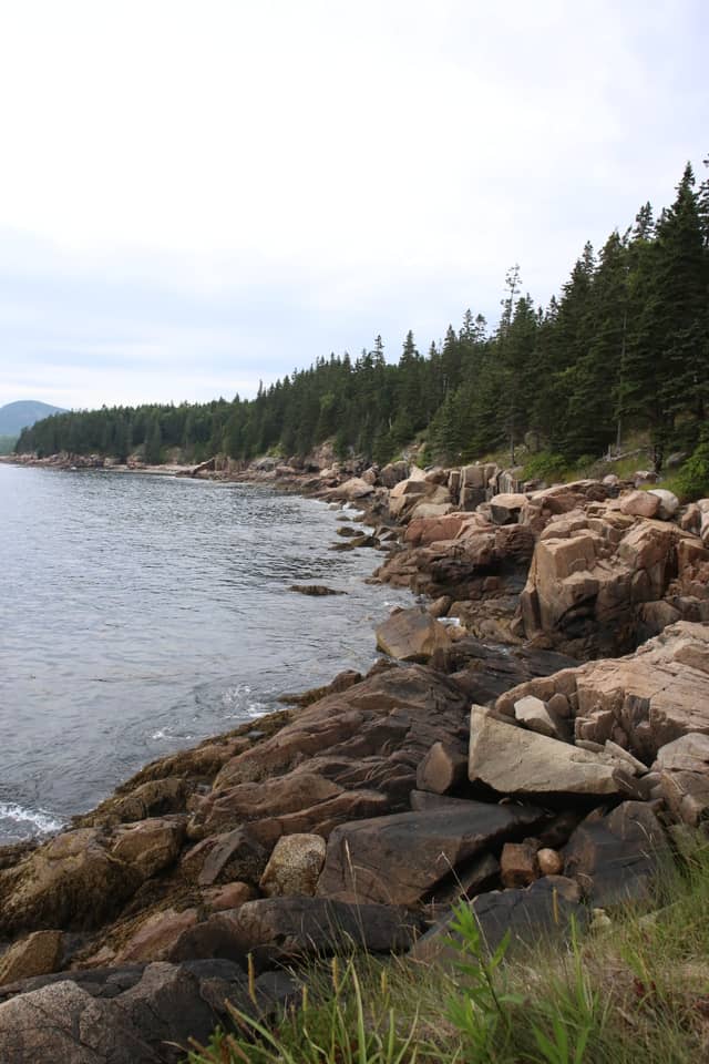 Acadia Rocky Coastline - Image 1