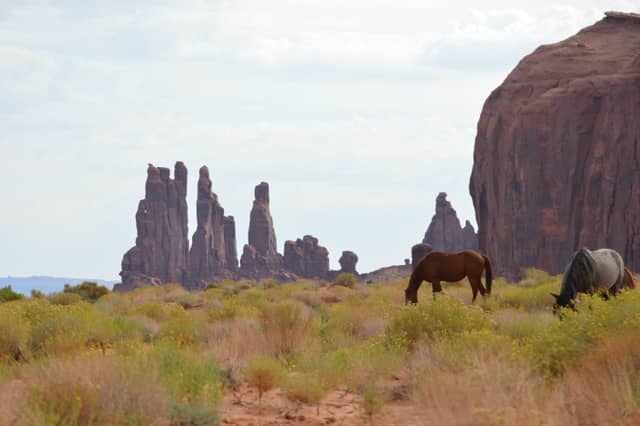 Monument Valley Navajo Tribal Park - Image 1