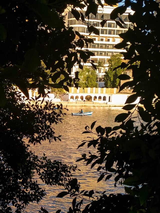 Nile River View from Zamalek - Image 1
