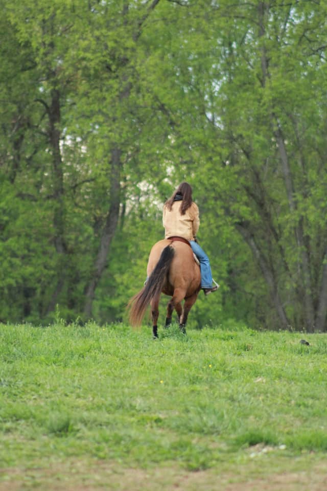 Brandywine Valley Equestrian Trails - Image 1