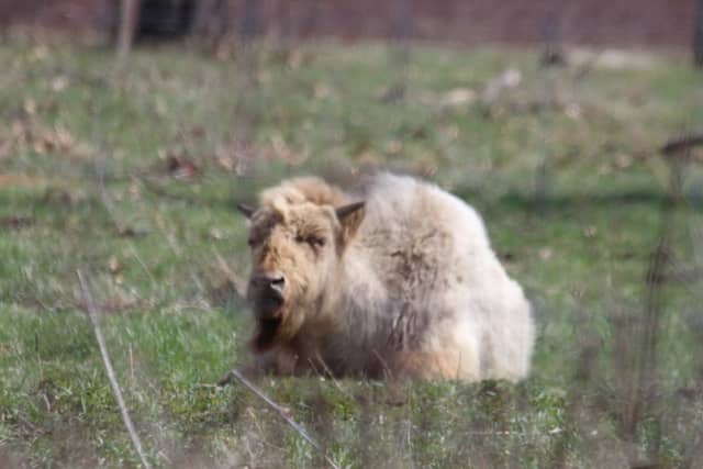 Sandhill Wildlife Area - Image 1