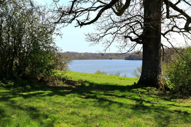 Ardingly Reservoir - Image 1