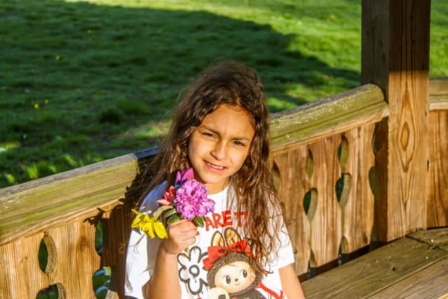 Stoughton Community Gazebo - Image 1