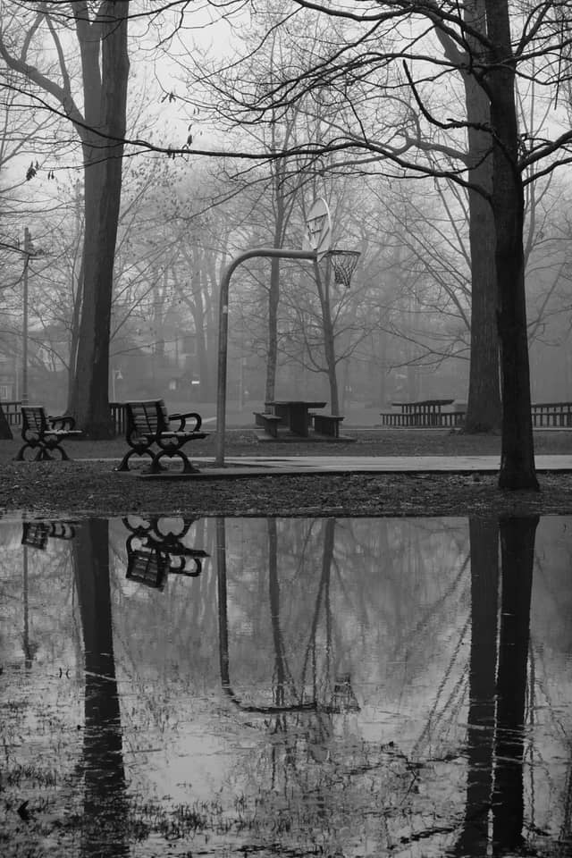 Kew Gardens Park - Image 1