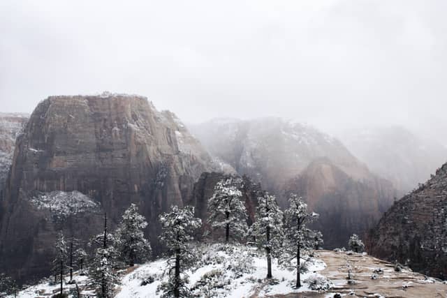 Zion National Park - West Rim Trail - Image 1