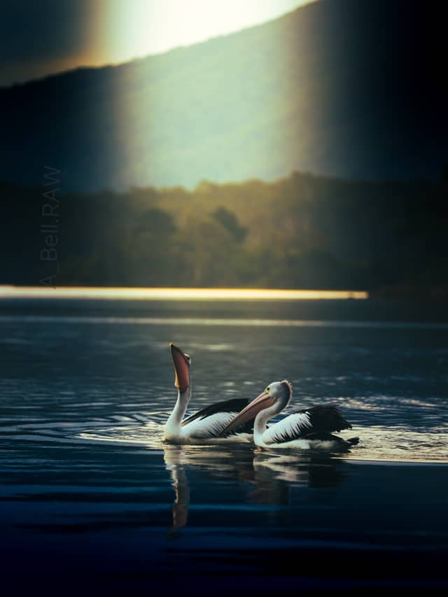 Wallaga Lake - Image 1