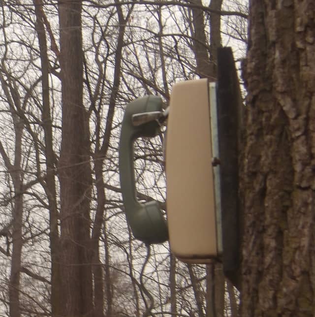 Woodland Rotary Phone - Image 1