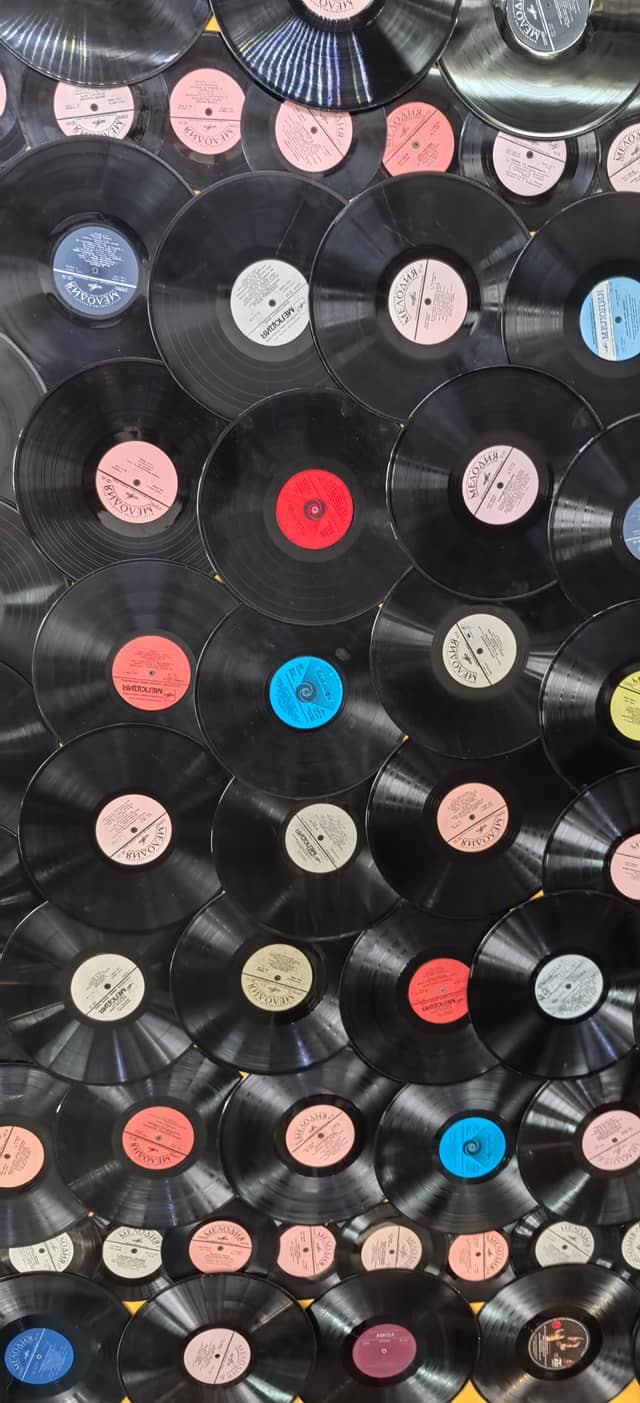 Melodiya Vinyl Wall - Image 1