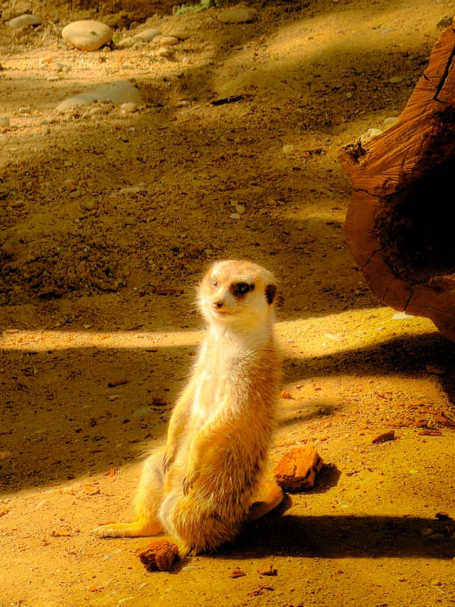 Zoo Basel (Zolli) - Image 1