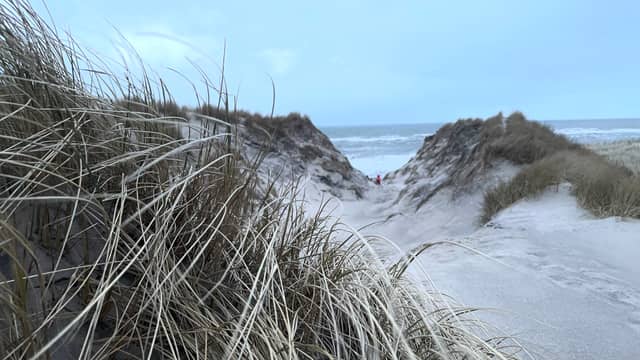 Vedersø Klit Dunes - Image 1
