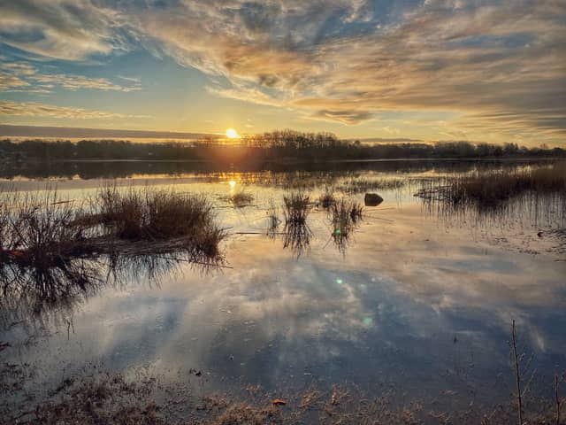 Weweantic River Marshlands - Image 1