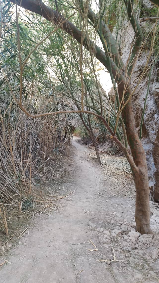 Boquillas Canyon Trail - Image 1