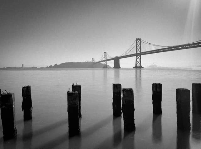 Old Pier 14 Pilings - Image 1