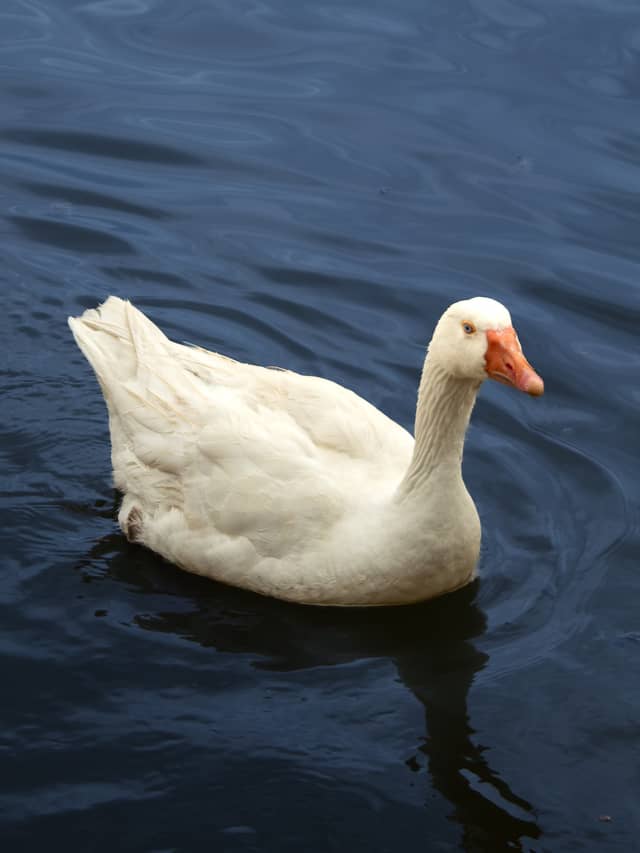 Lake Eymir - Image 1