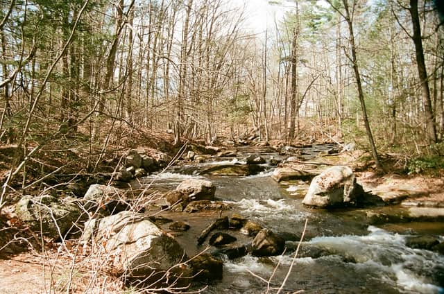 Merrimack Woodland Stream - Image 1