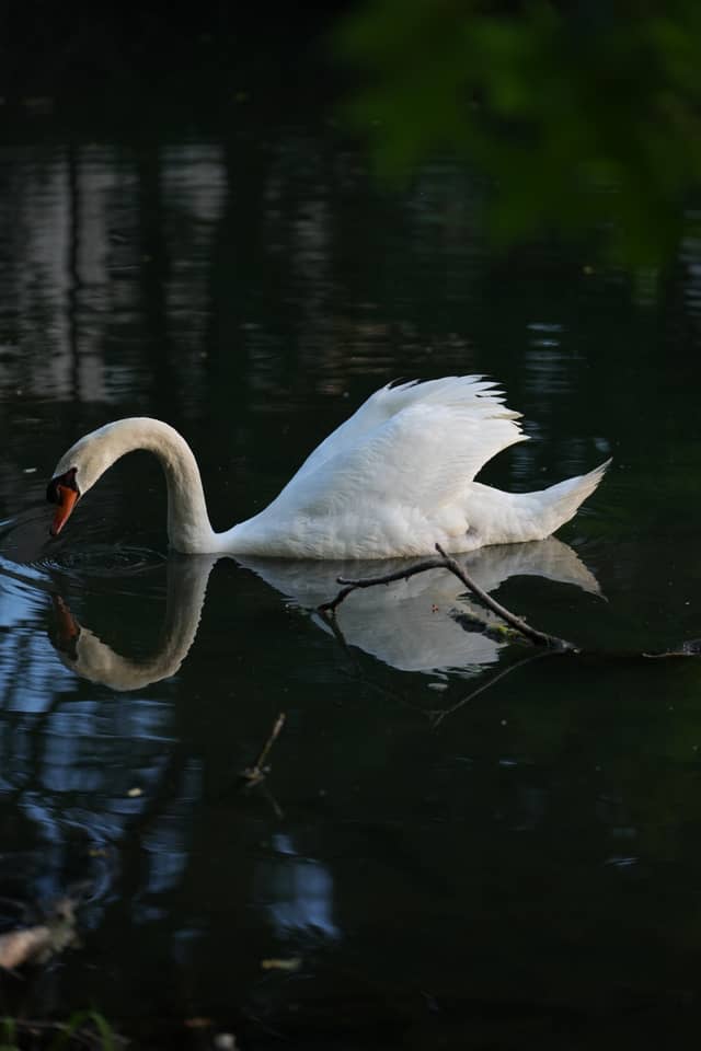 Hoover Reservoir Park - Image 1