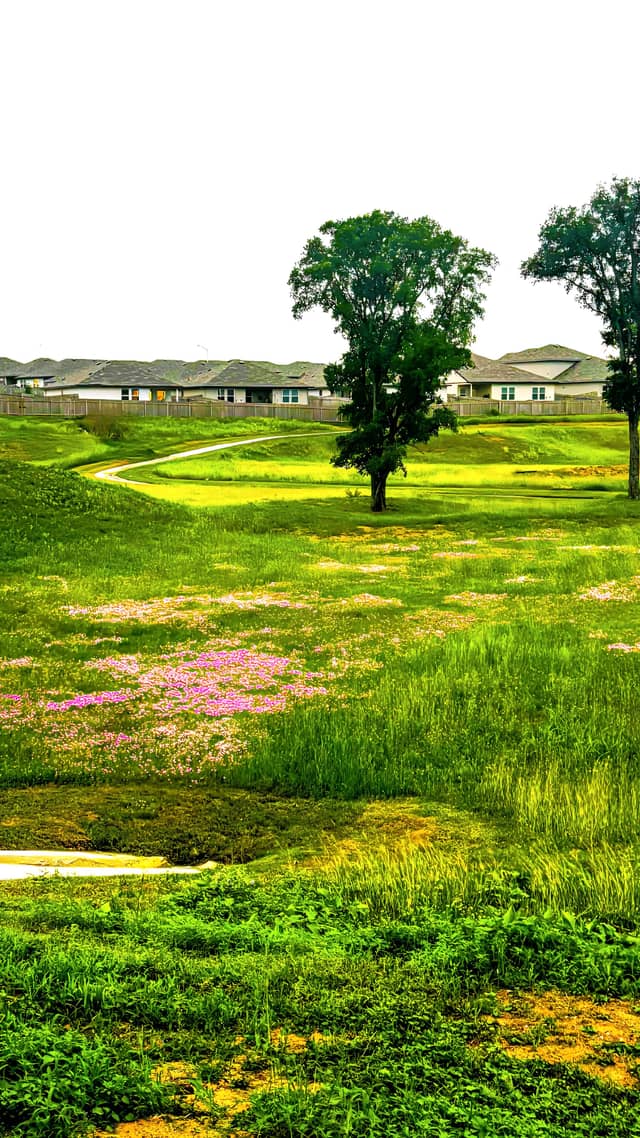Seguin Suburban Greenbelt - Image 1