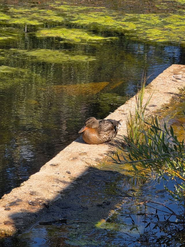 Silver Lake Nature Trail - Image 1